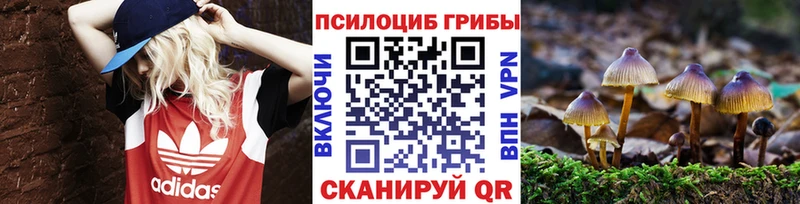 Галлюциногенные грибы MAGIC MUSHROOMS  что такое наркотик  Артёмовский 
